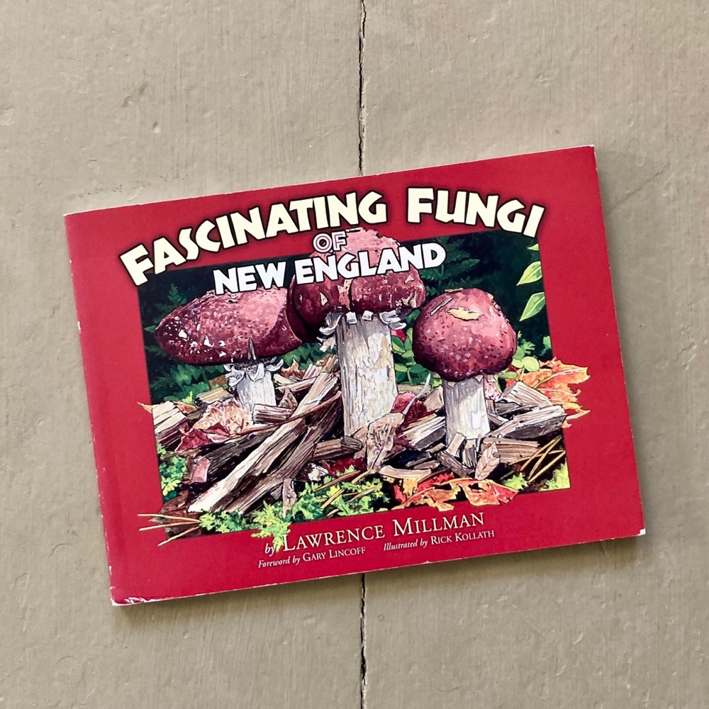 Fascinating Fungi of New England Mushrooms Mushie Toadstool Woodland Plants